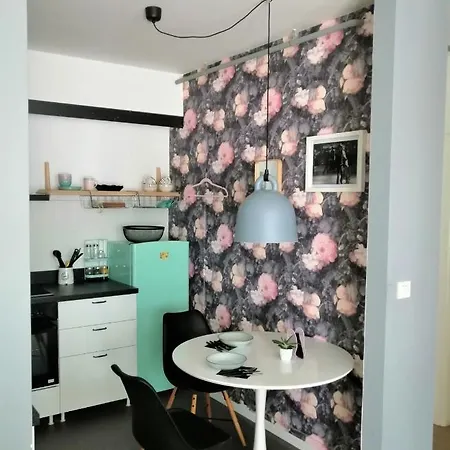 Apartment Cinematic Pula